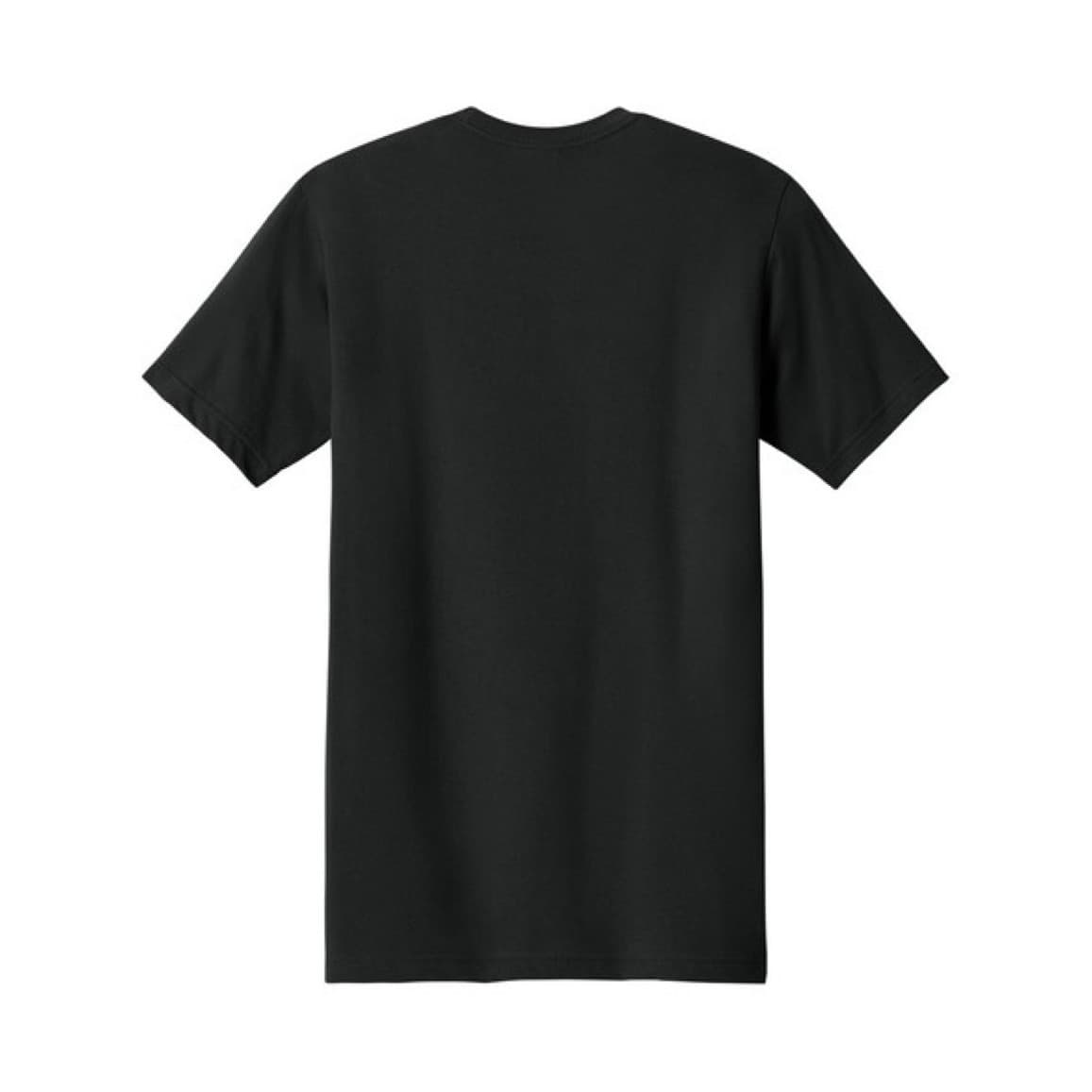 Next Level Ideal Jersey cotton tee — photo 2 of 3